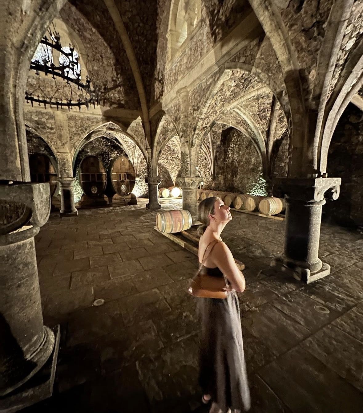 Provence Wineries and Luberon Villages Day Trip from Aix-en-Provence