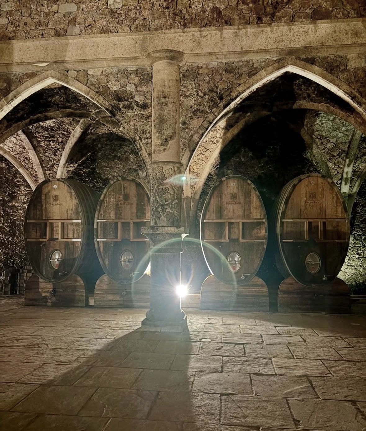 Half-Day Provence Pont du Gard and Wine Tasting Tour from Avignon